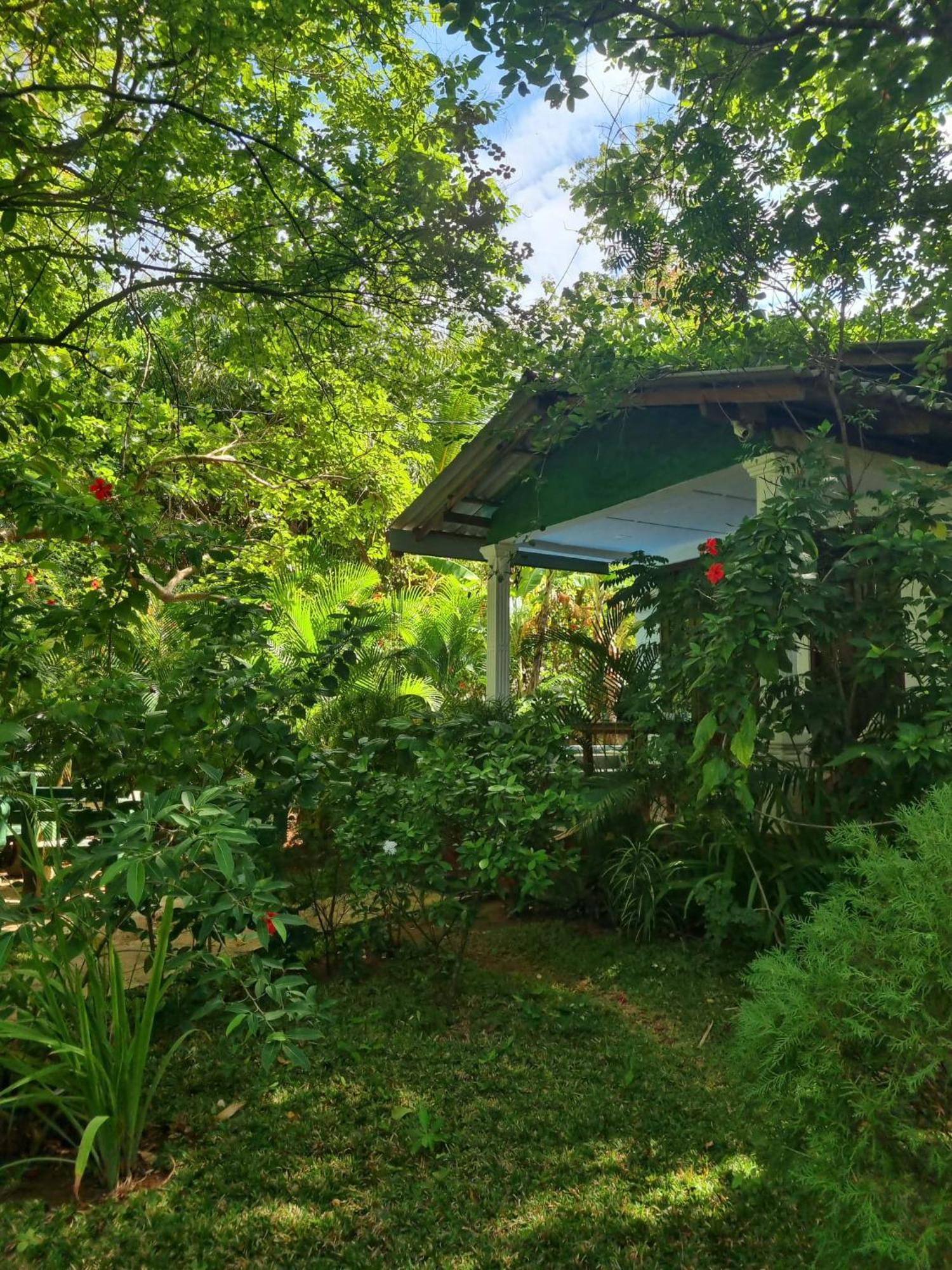 Sunrise Cottage 锡吉里亚 外观 照片