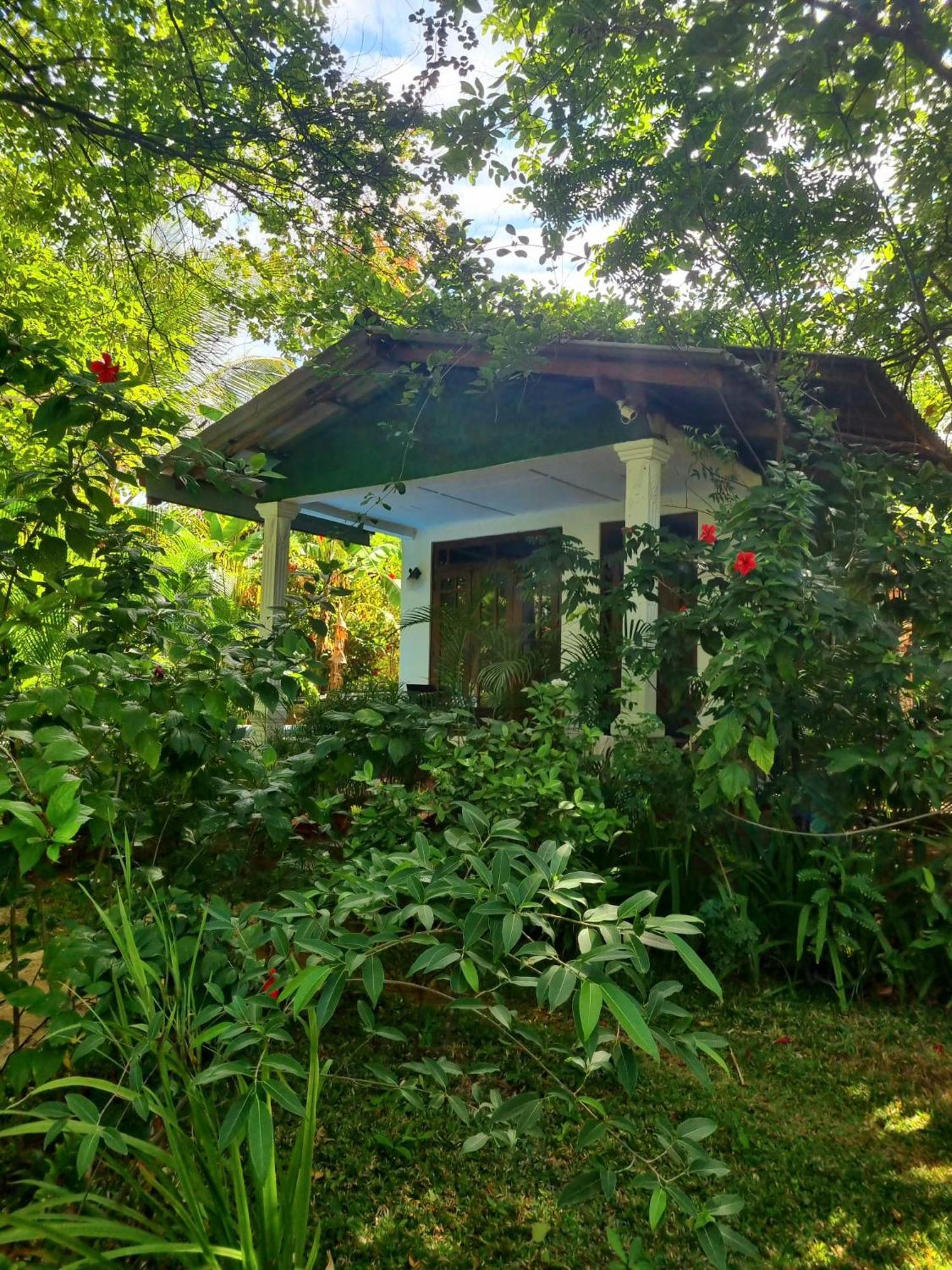 Sunrise Cottage 锡吉里亚 外观 照片